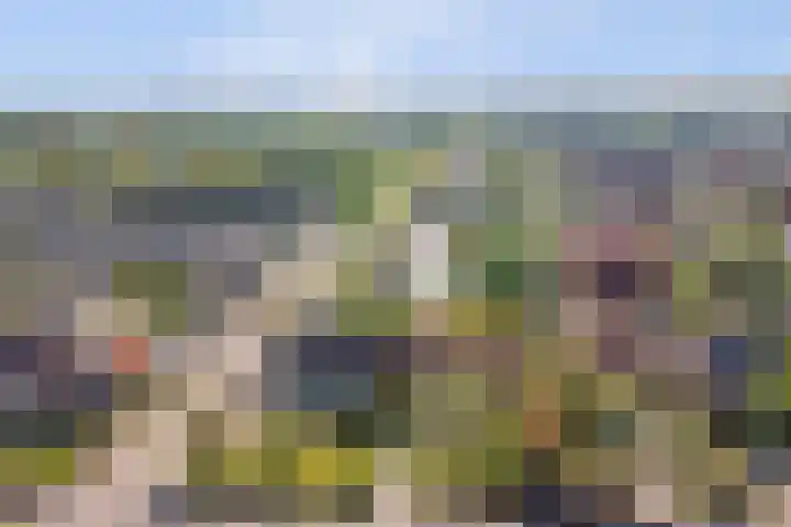 Veerweg 101 a Kamperland thumbnail 7