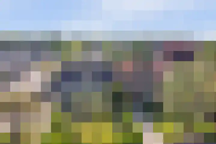 Veerweg 101 a Kamperland thumbnail 8