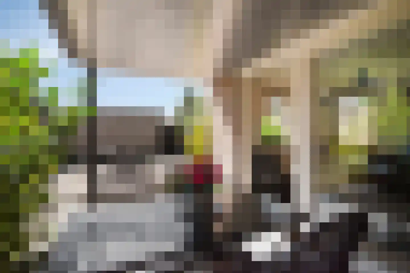 Veerweg 11 Steenbergen thumbnail 48