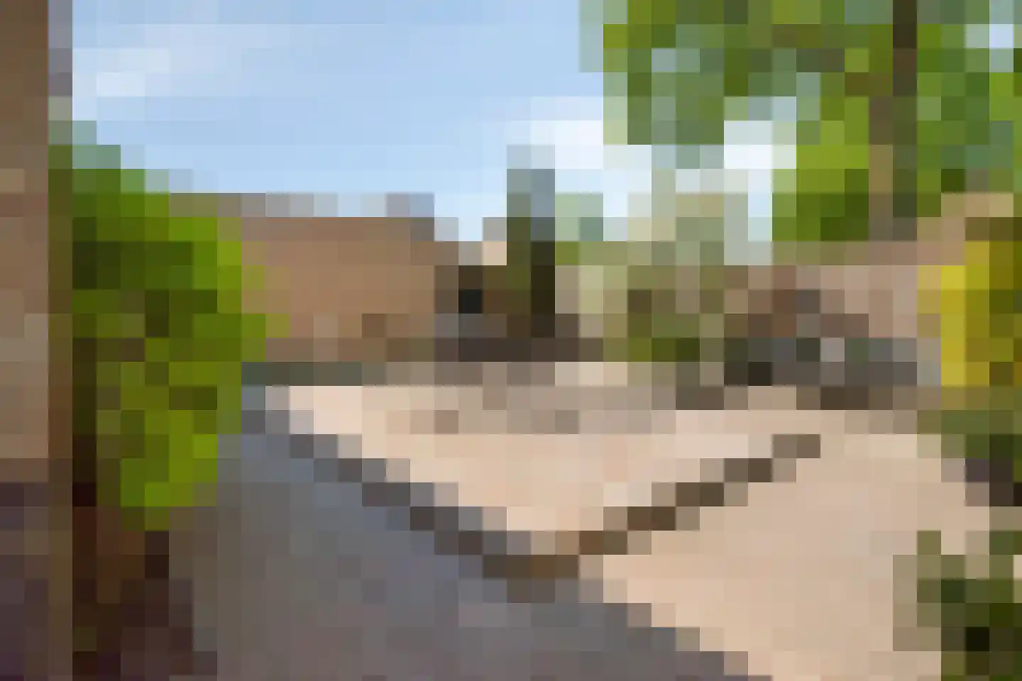 Veerweg 11 Steenbergen thumbnail 56
