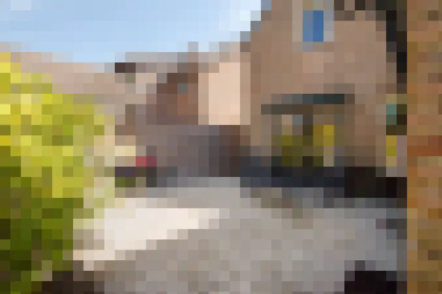 Veerweg 11 Steenbergen thumbnail 56