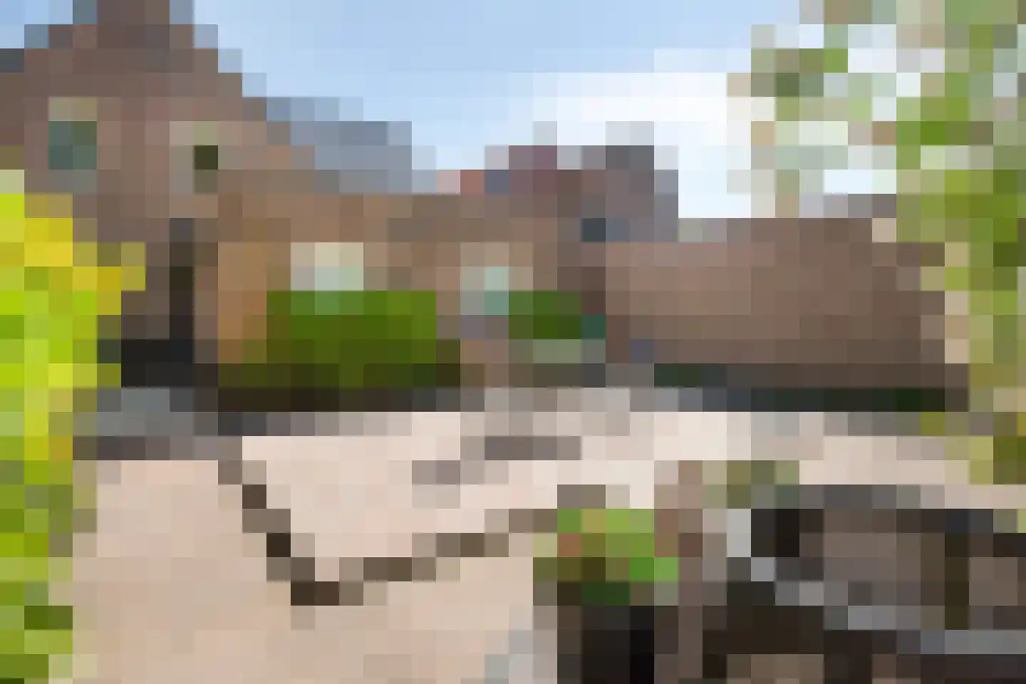 Veerweg 11 Steenbergen thumbnail 60