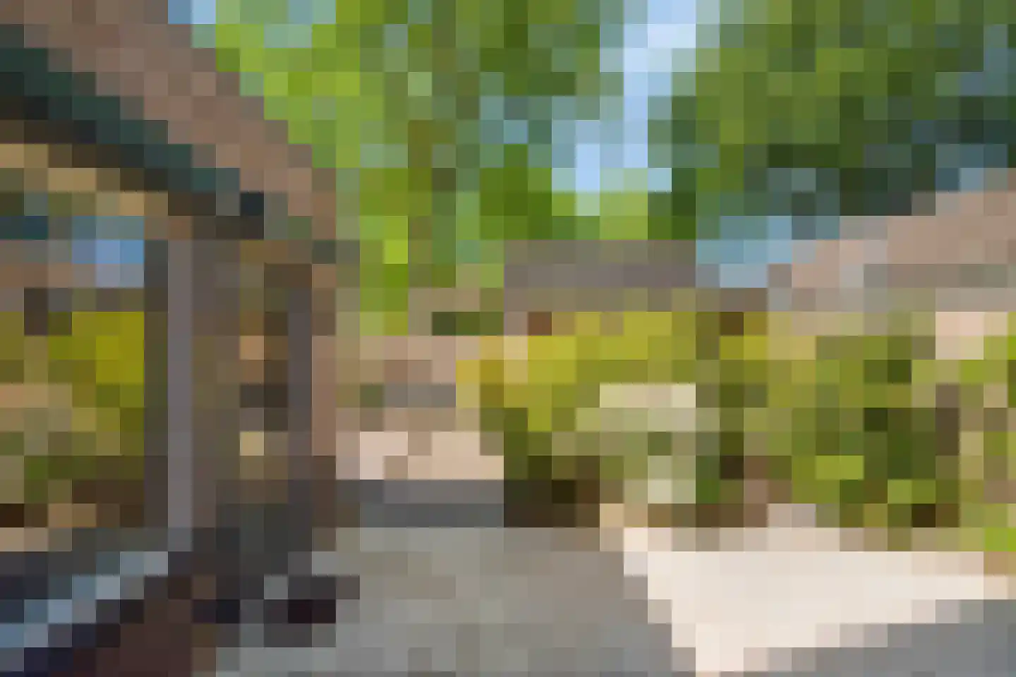 Veerweg 11 Steenbergen thumbnail 61