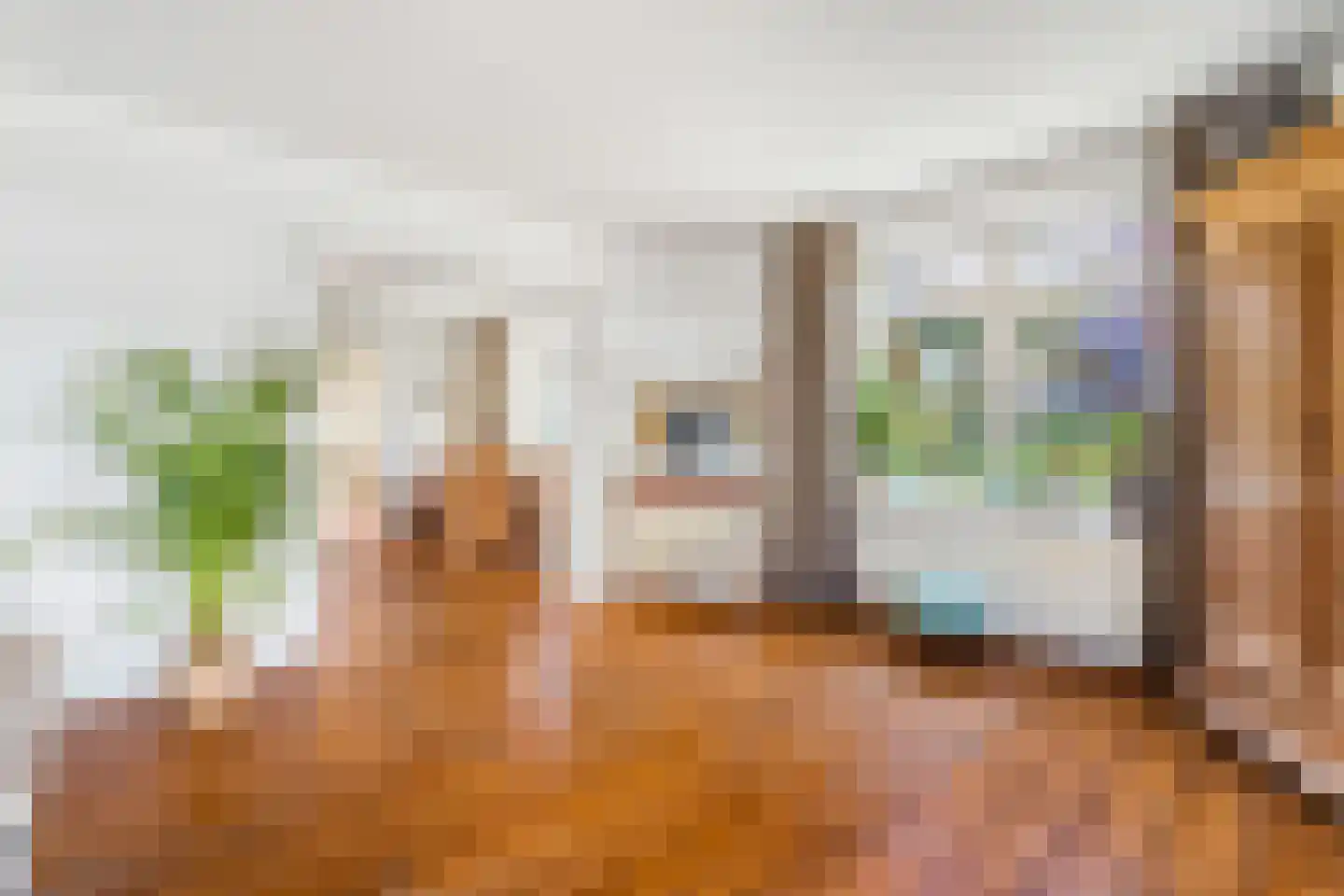 Veerweg 111 Rheden thumbnail 10