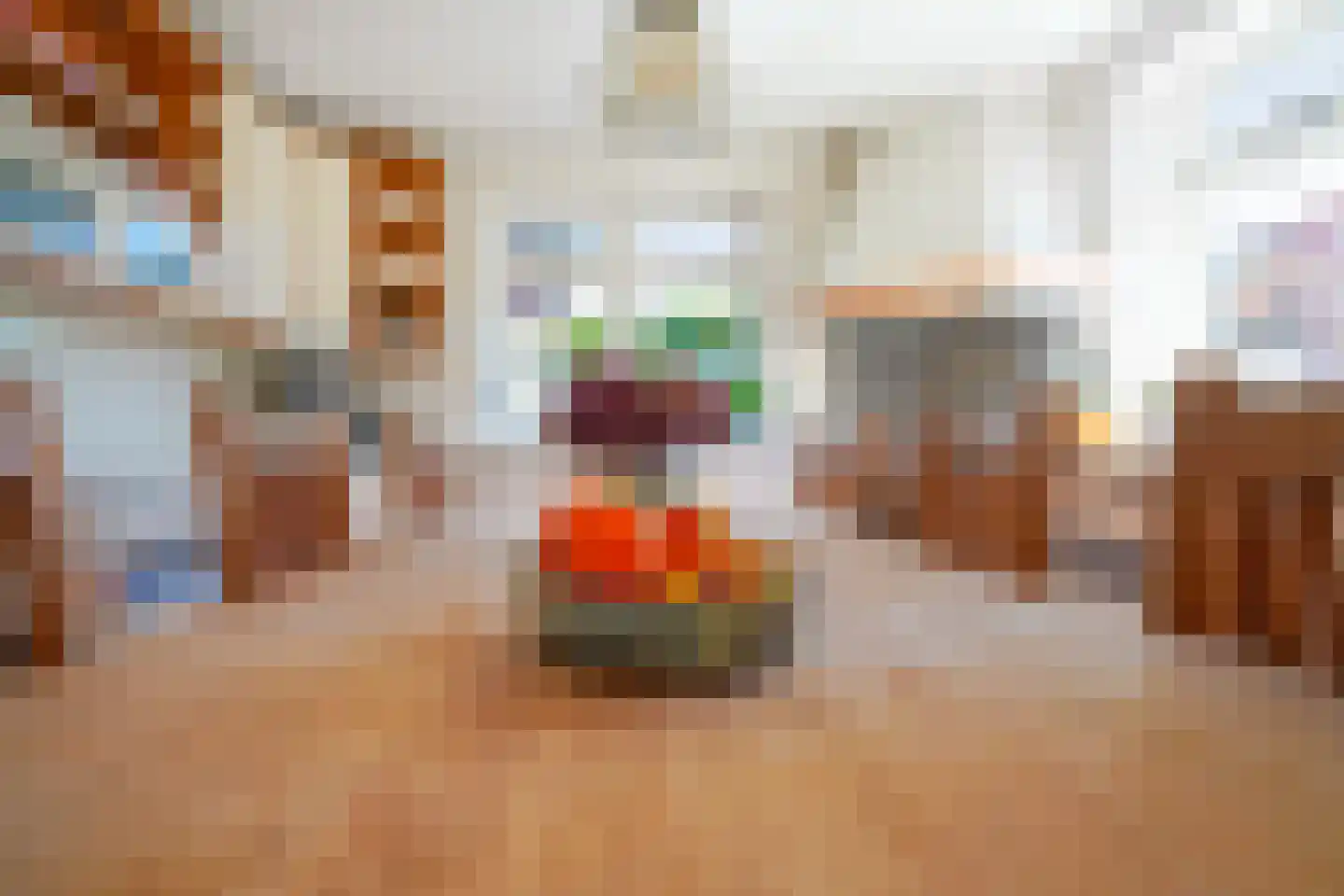 Veerweg 111 Rheden thumbnail 20