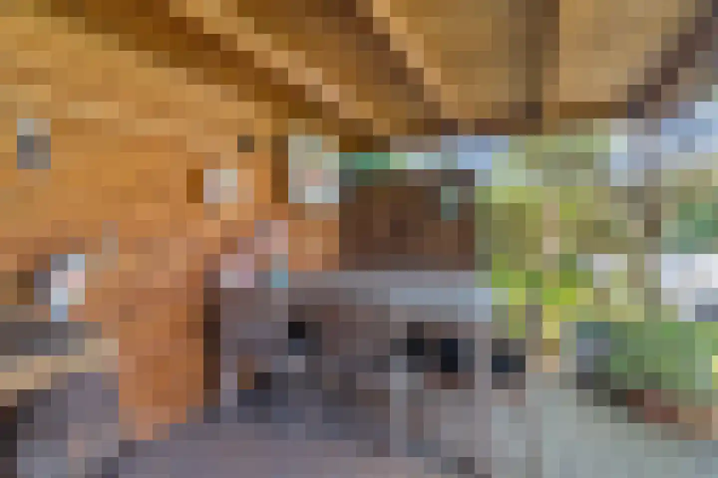 Veerweg 111 Rheden thumbnail 57