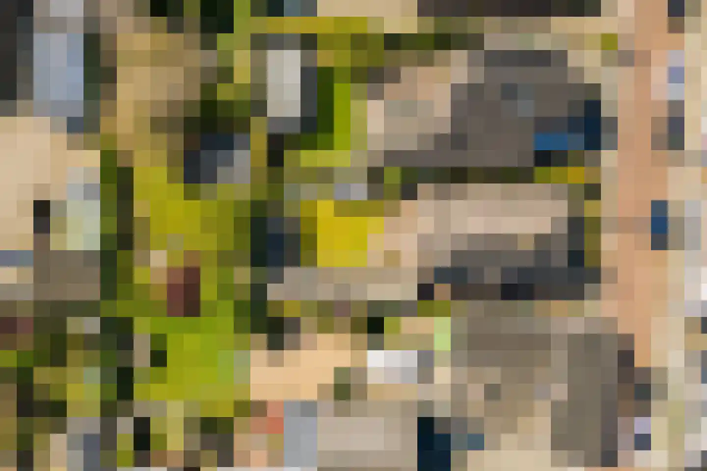 Veerweg 111 Rheden thumbnail 62