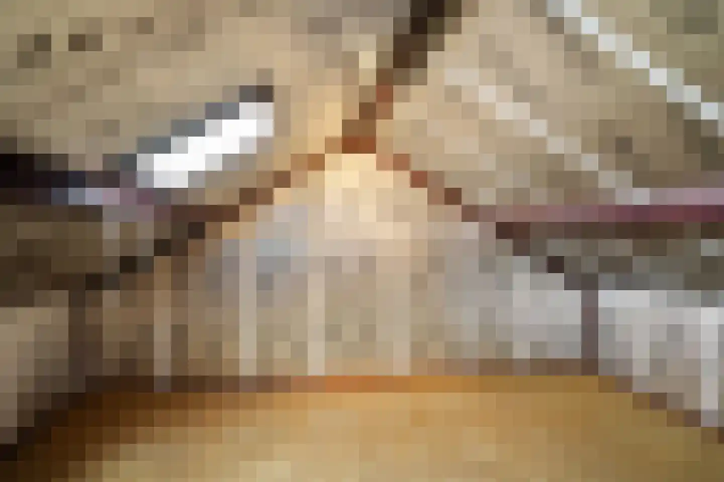 Veerweg 12 Numansdorp thumbnail 25