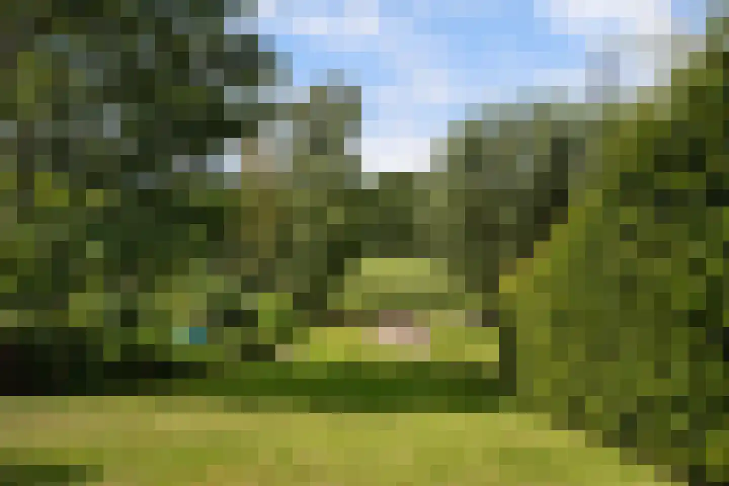 Veerweg 12 Numansdorp thumbnail 31