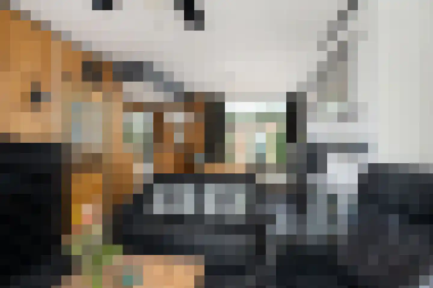 Veerweg 12 Numansdorp thumbnail 9