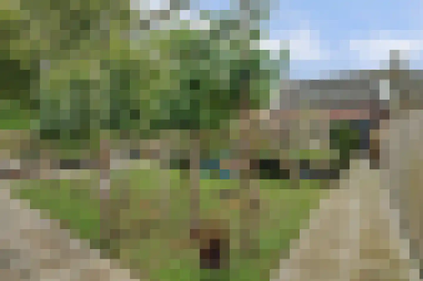 Veerweg 138 Kamperland thumbnail 38