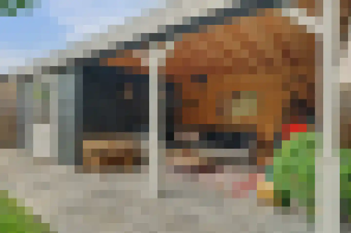 Veerweg 138 Kamperland thumbnail 41
