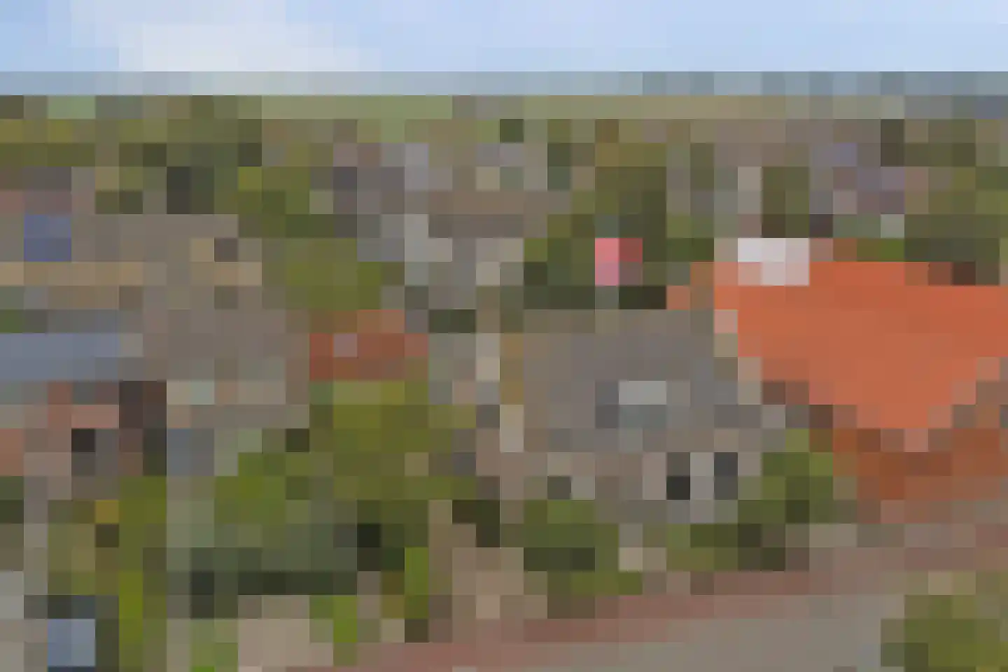 Veerweg 138 Kamperland thumbnail 43