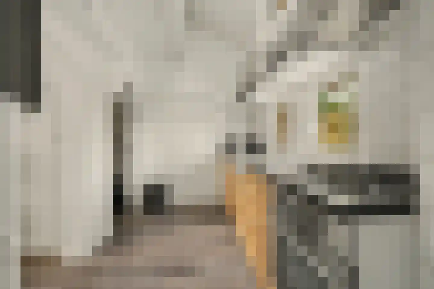 Veerweg 140 Kamperland thumbnail 13