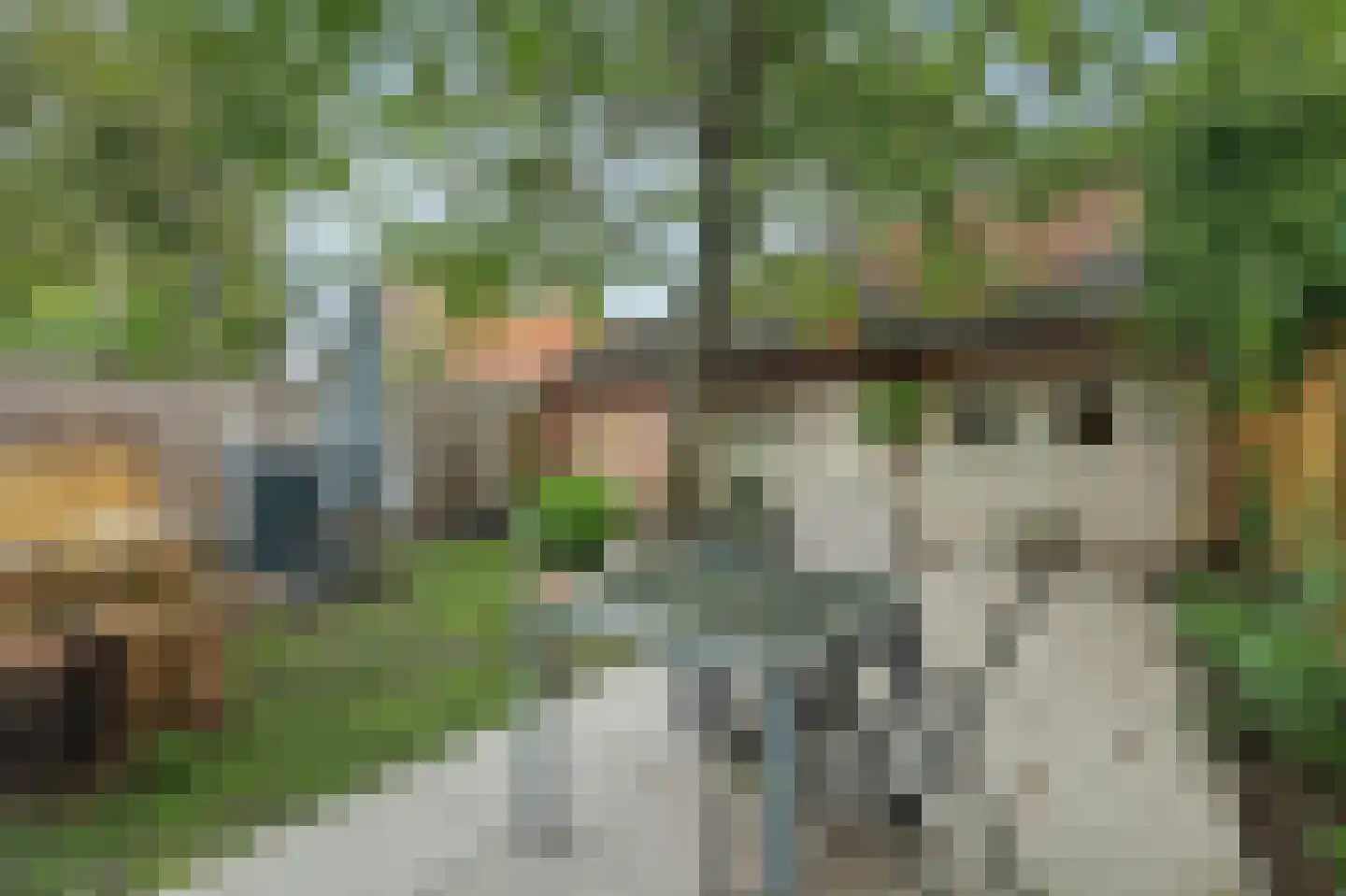 Veerweg 140 Kamperland thumbnail 16