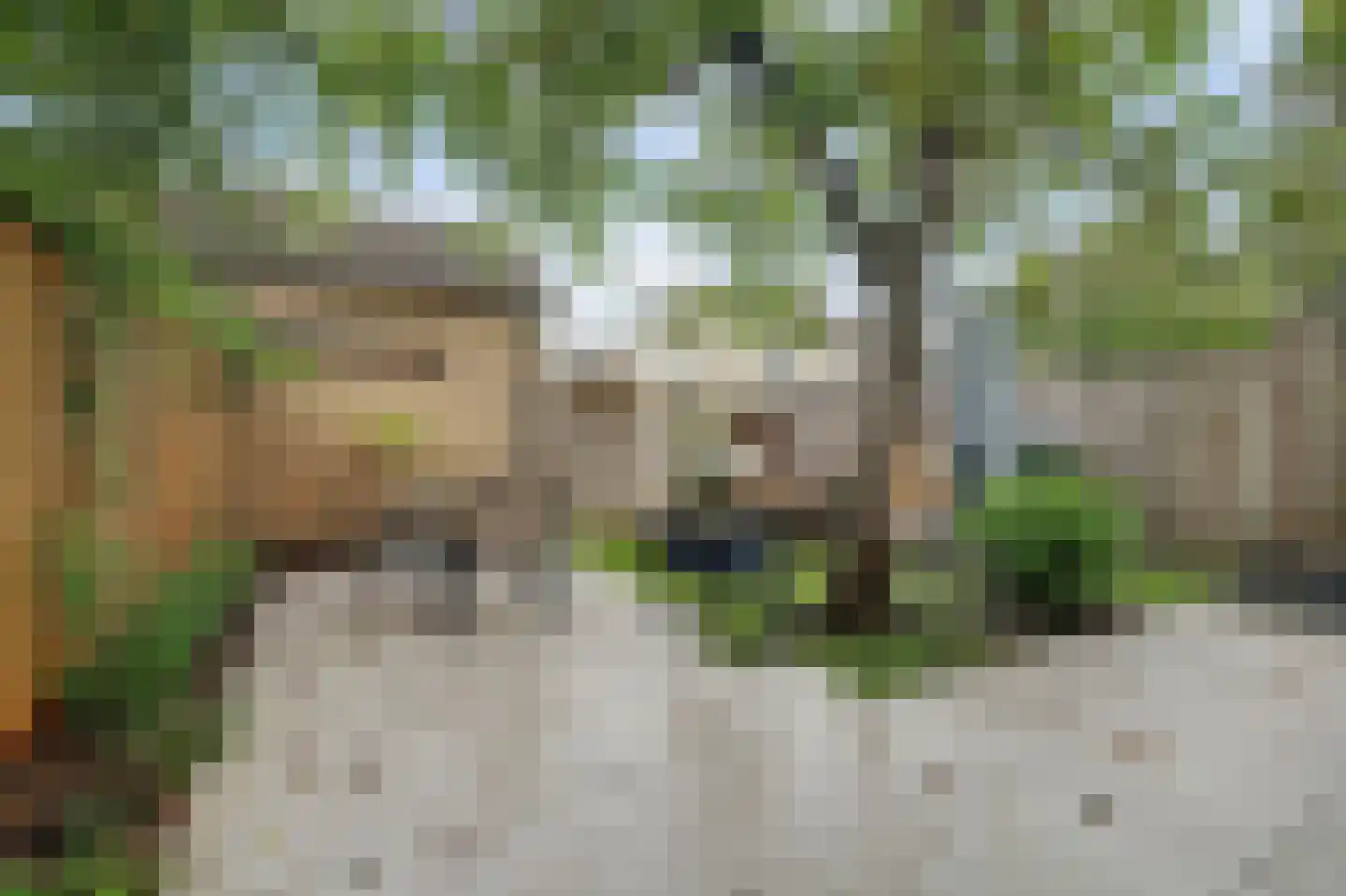 Veerweg 140 Kamperland thumbnail 17