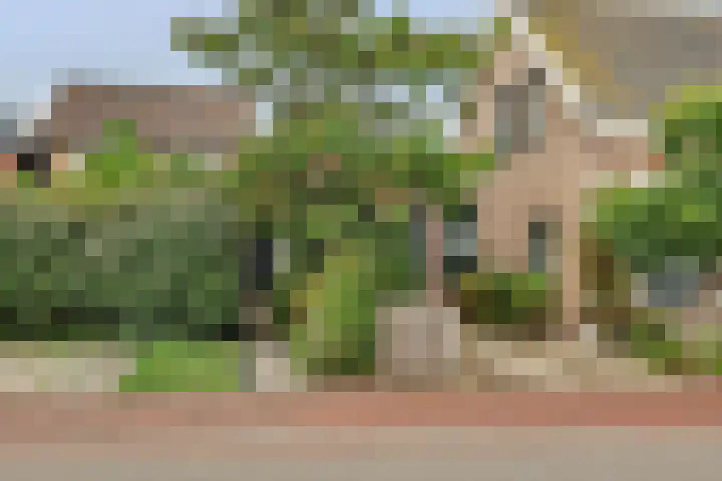 Veerweg 140 Kamperland thumbnail 23