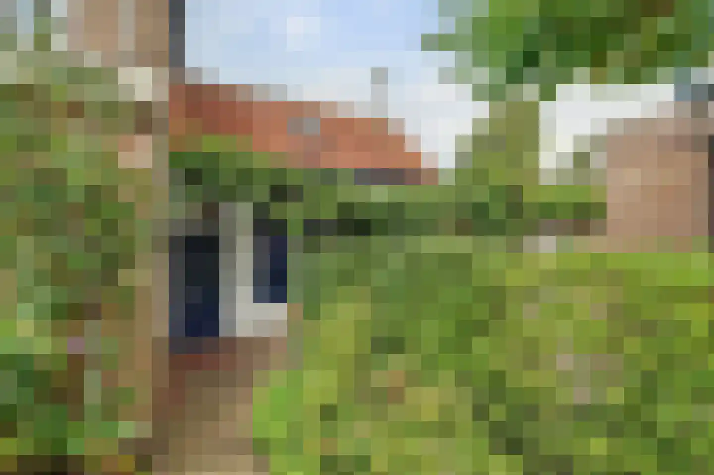 Veerweg 140 Kamperland thumbnail 24