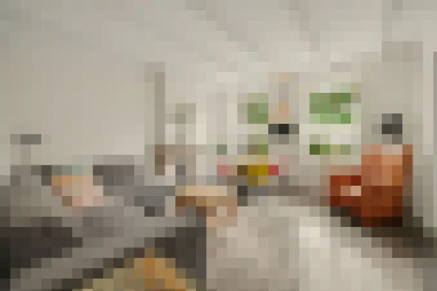 Veerweg 140 Kamperland thumbnail 8