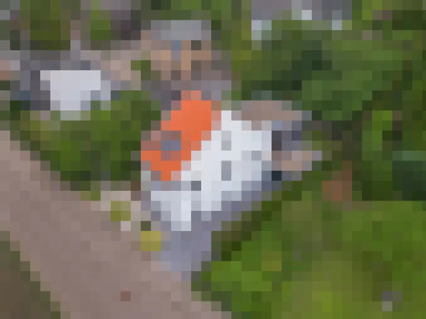 Veerweg 18 Urmond thumbnail 4