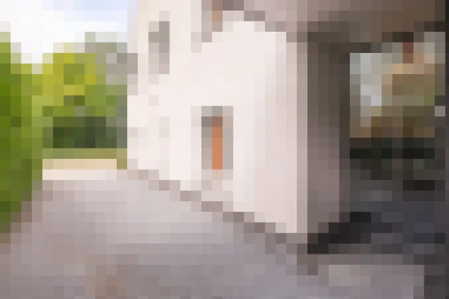 Veerweg 18 Urmond thumbnail 5