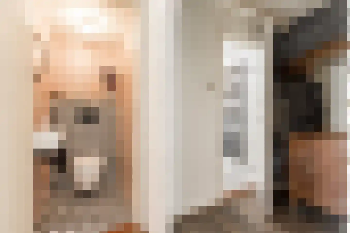 Veerweg 19 Alem thumbnail 15