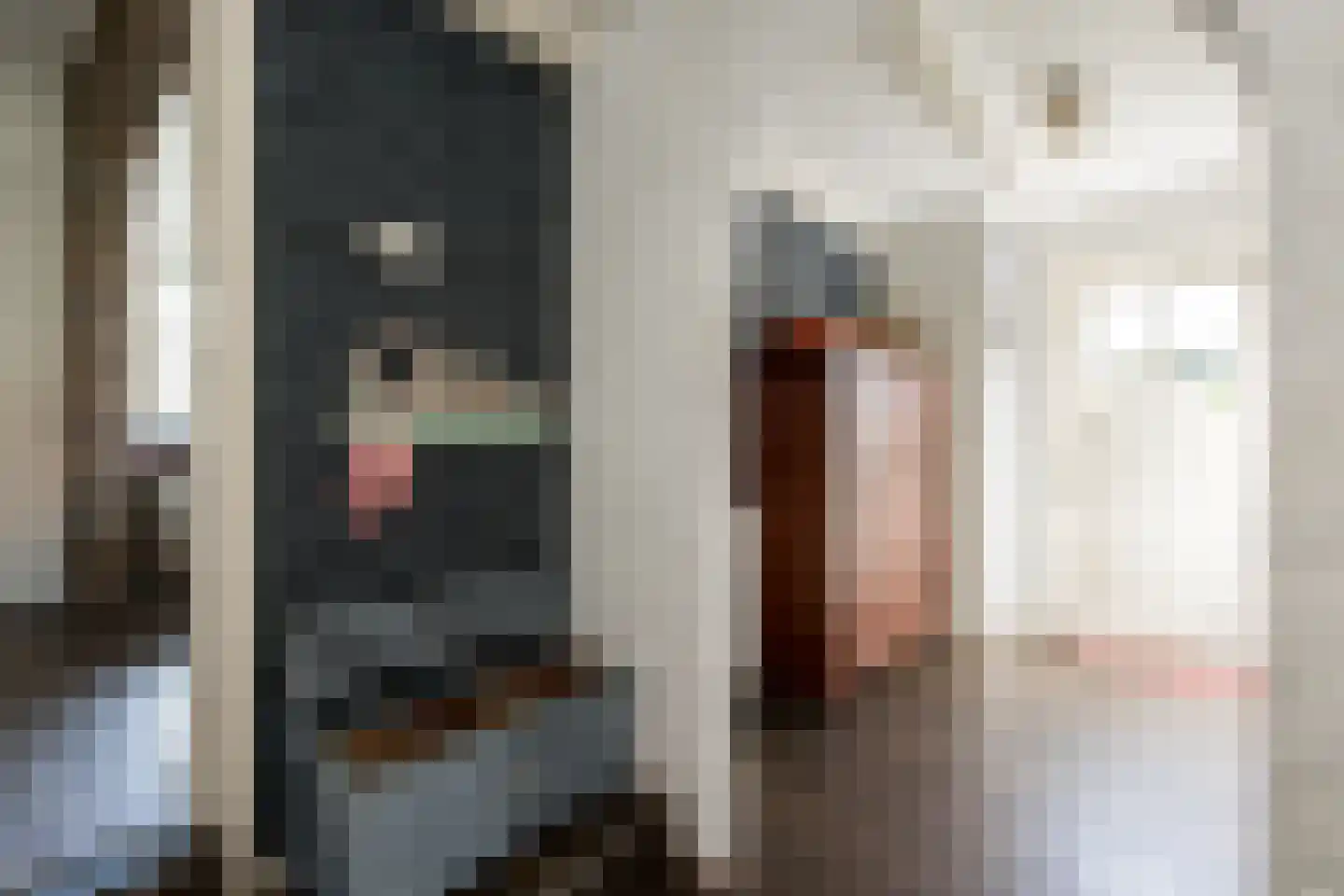 Veerweg 19 Alem thumbnail 17