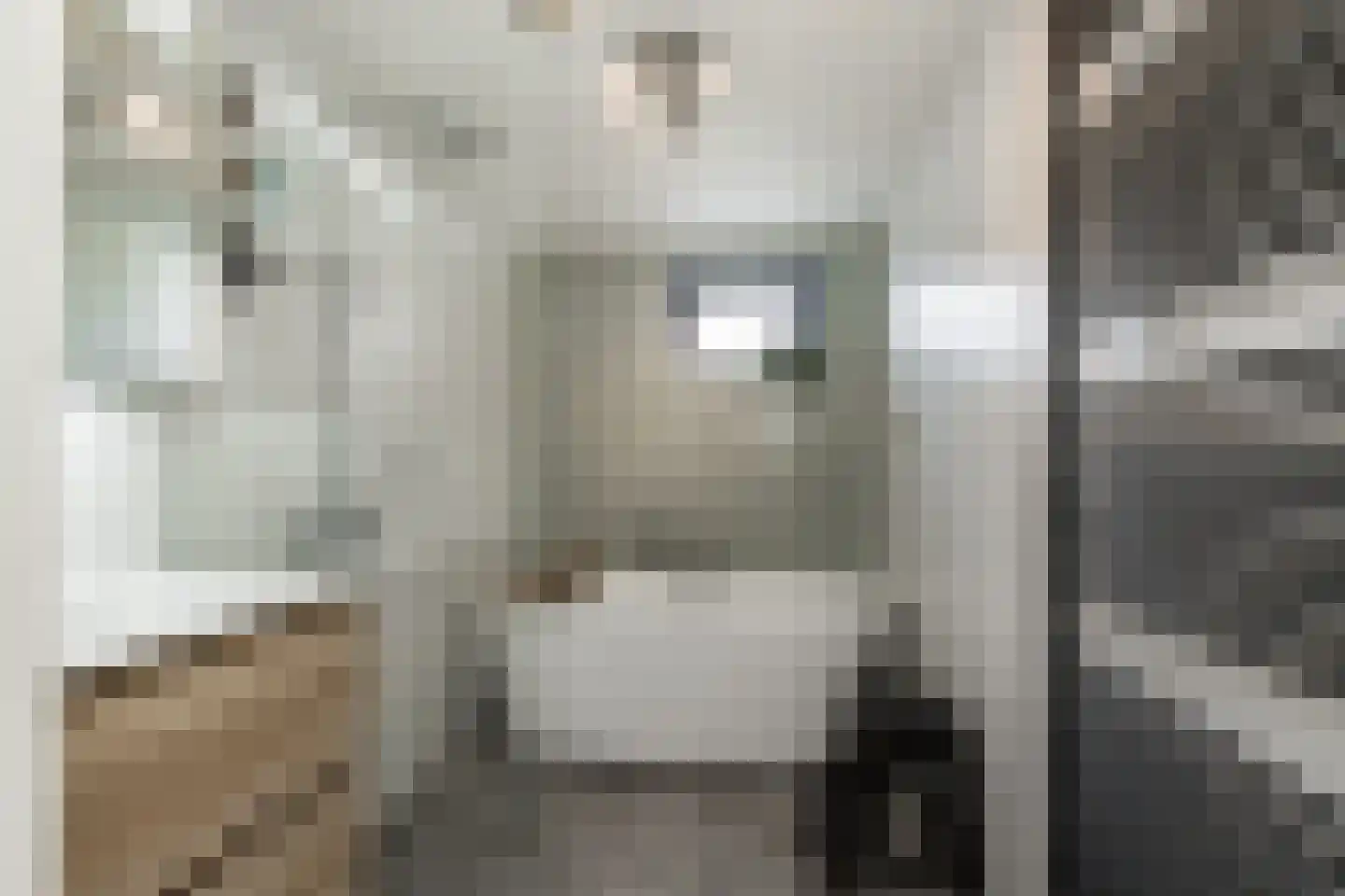 Veerweg 19 Alem thumbnail 20