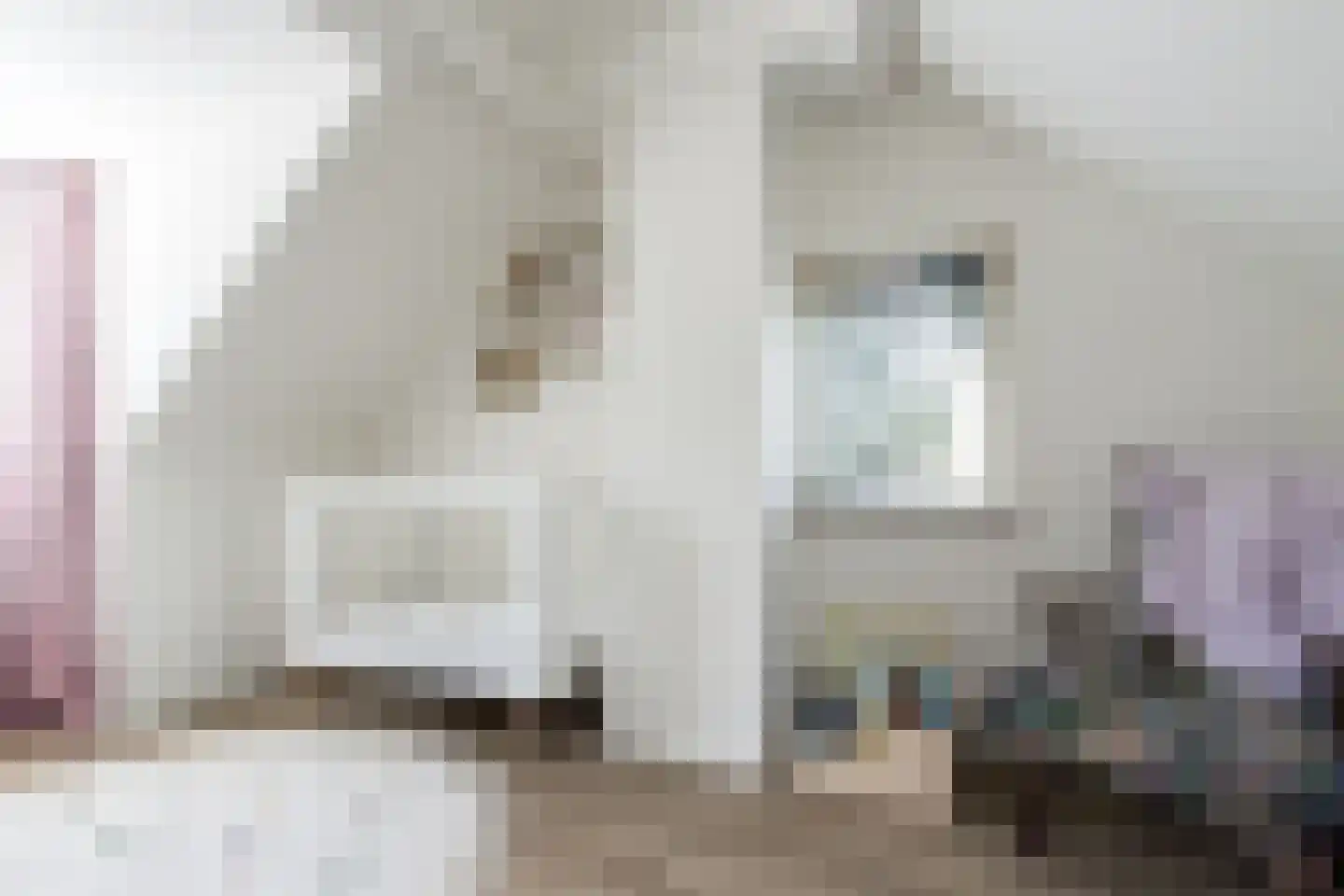 Veerweg 19 Alem thumbnail 30