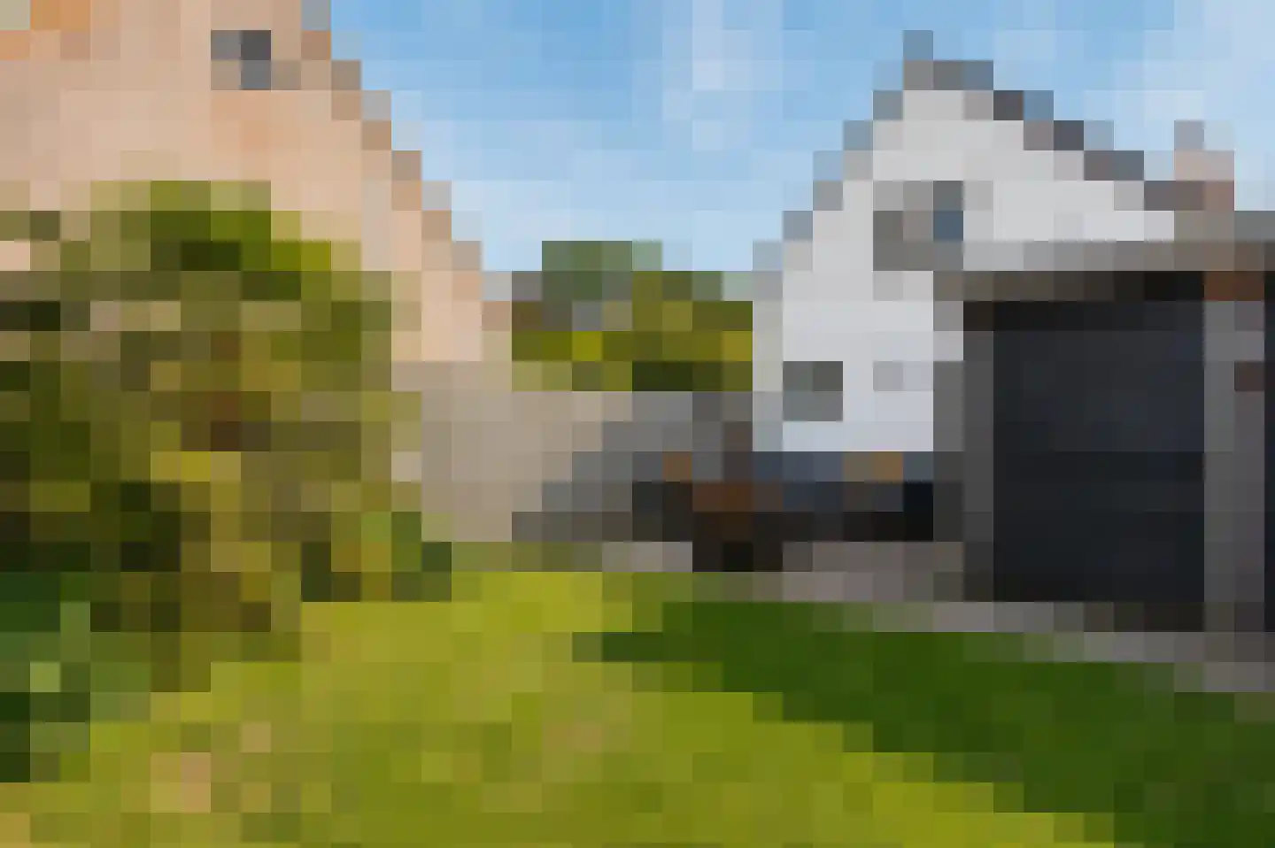 Veerweg 19 Alem thumbnail 37