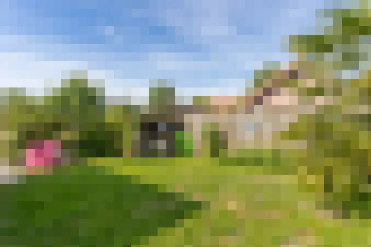 Veerweg 19 Alem thumbnail 48