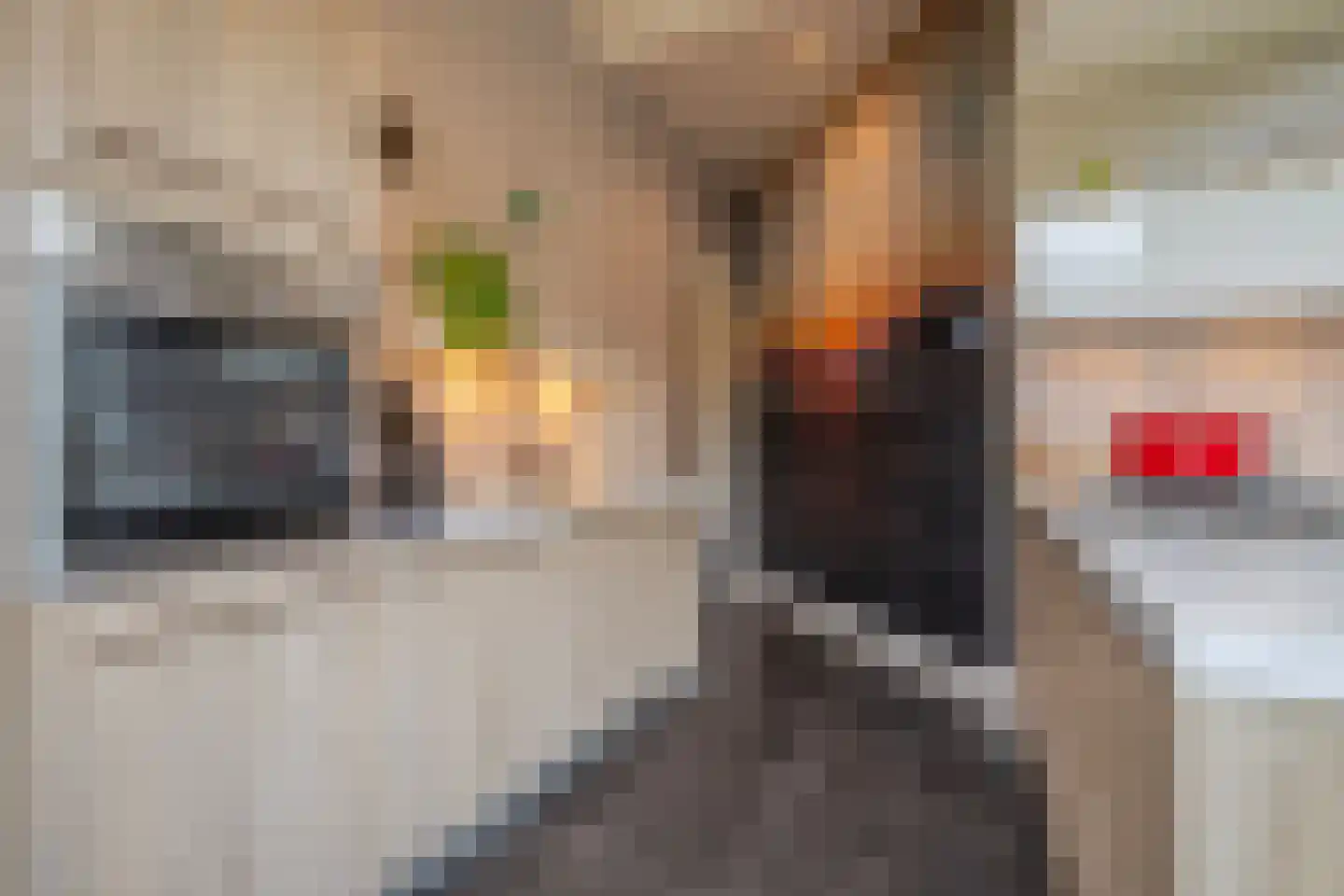 Veerweg 2 Oosterbeek thumbnail 14