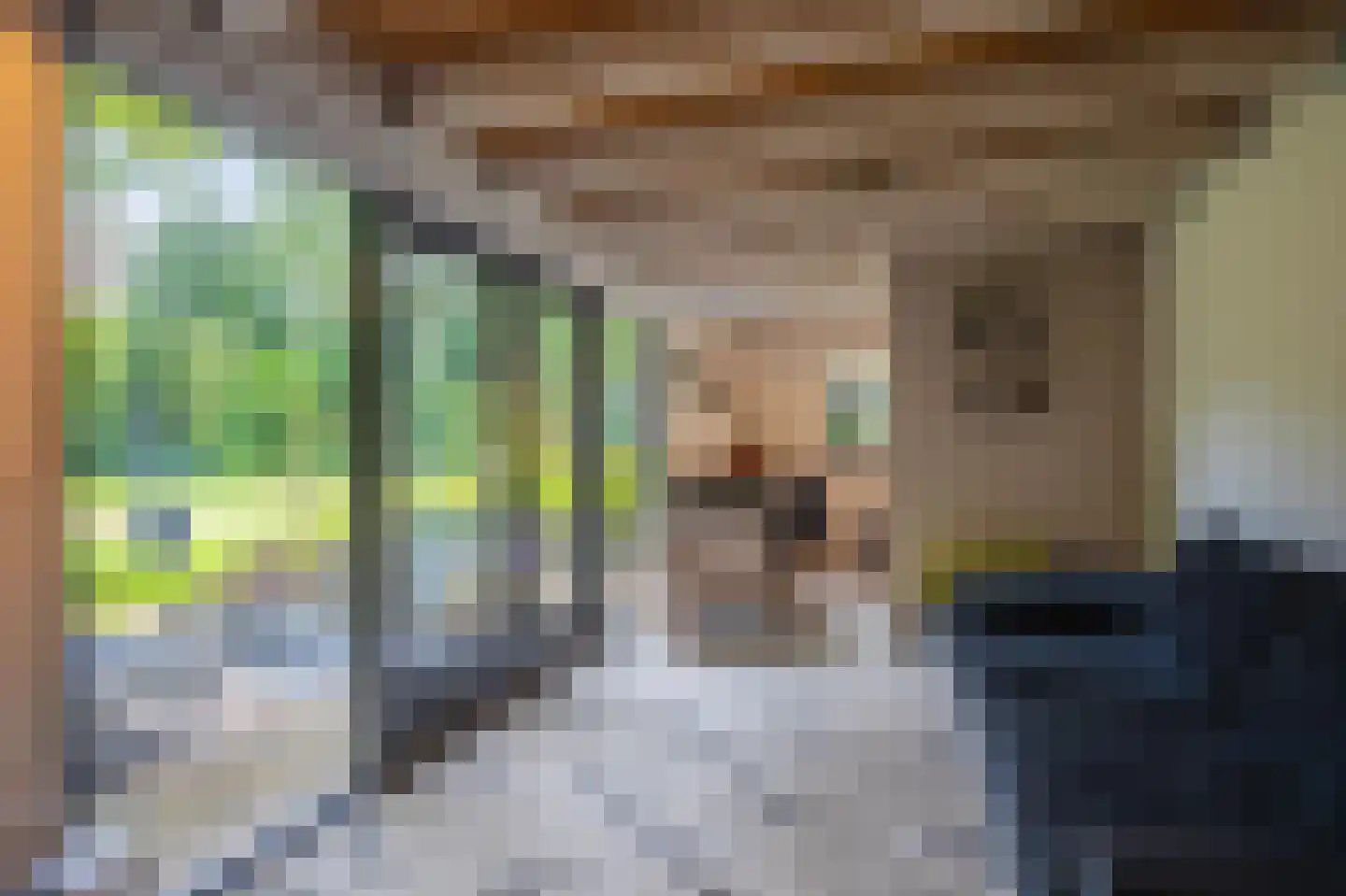 Veerweg 2 Oosterbeek thumbnail 18