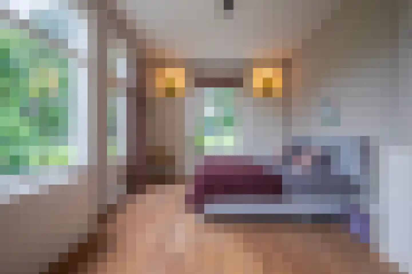 Veerweg 2 Oosterbeek thumbnail 20