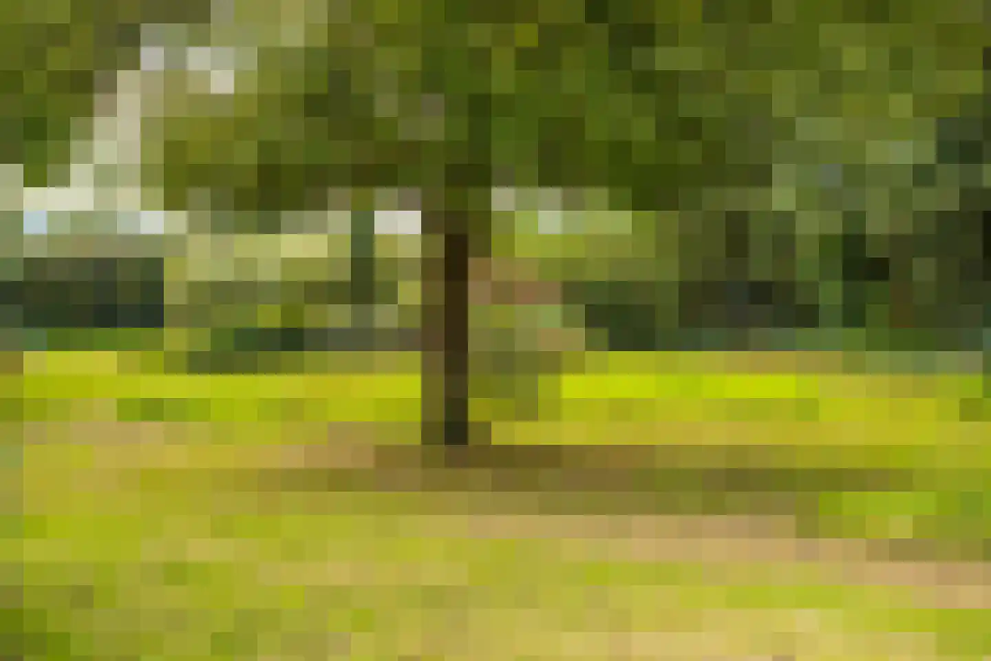 Veerweg 2 Oosterbeek thumbnail 33
