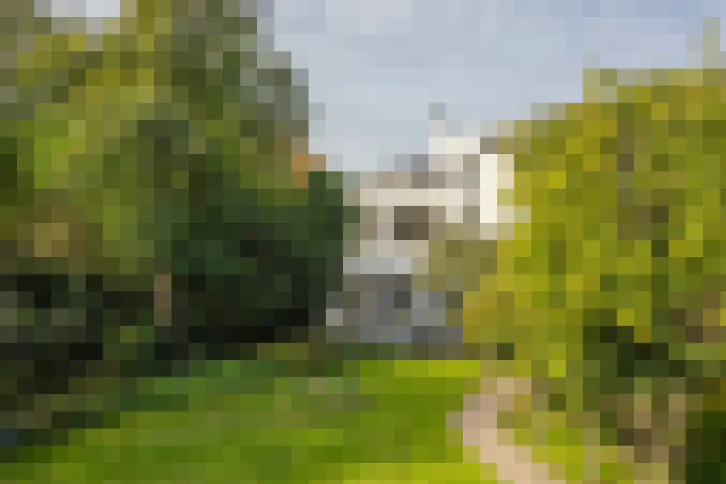 Veerweg 2 Oosterbeek thumbnail 34