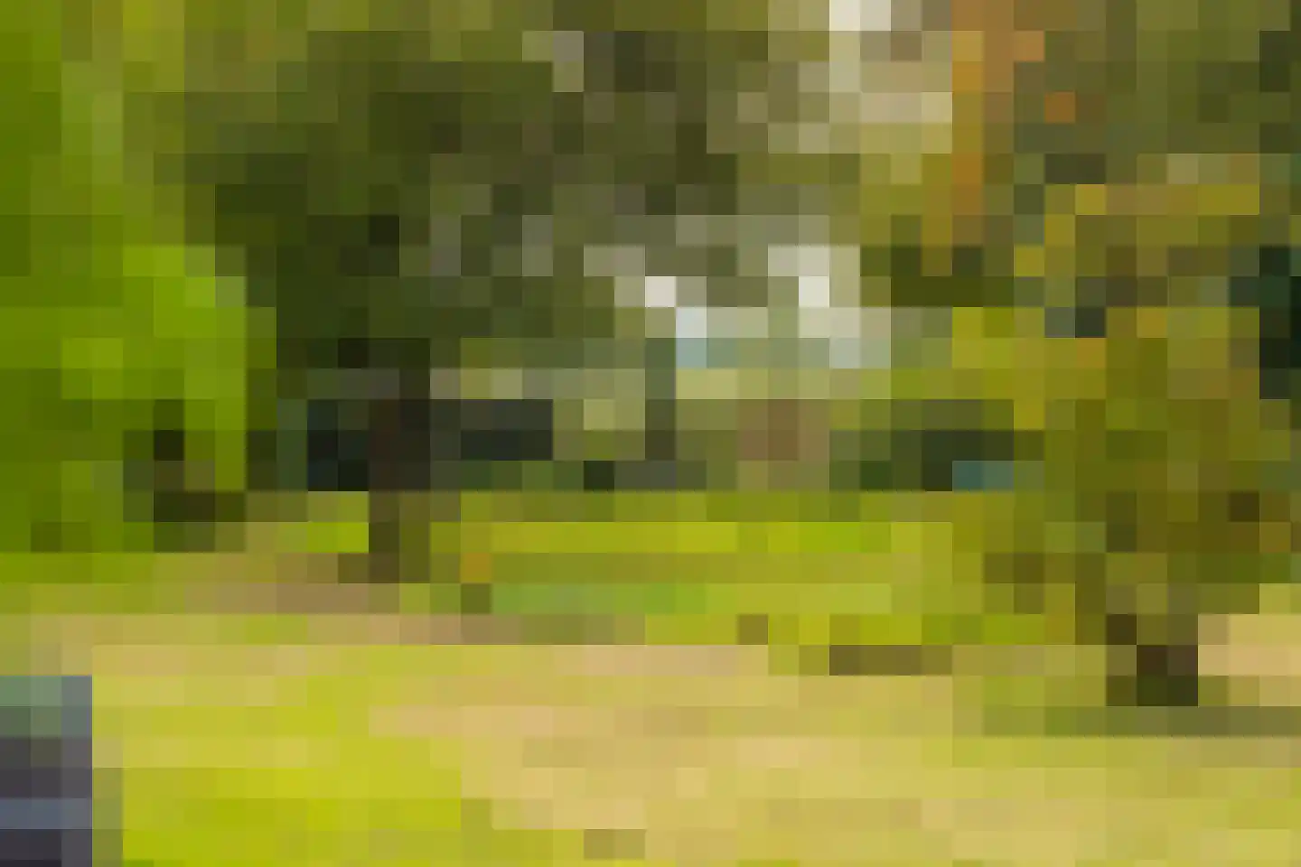 Veerweg 2 Oosterbeek thumbnail 36