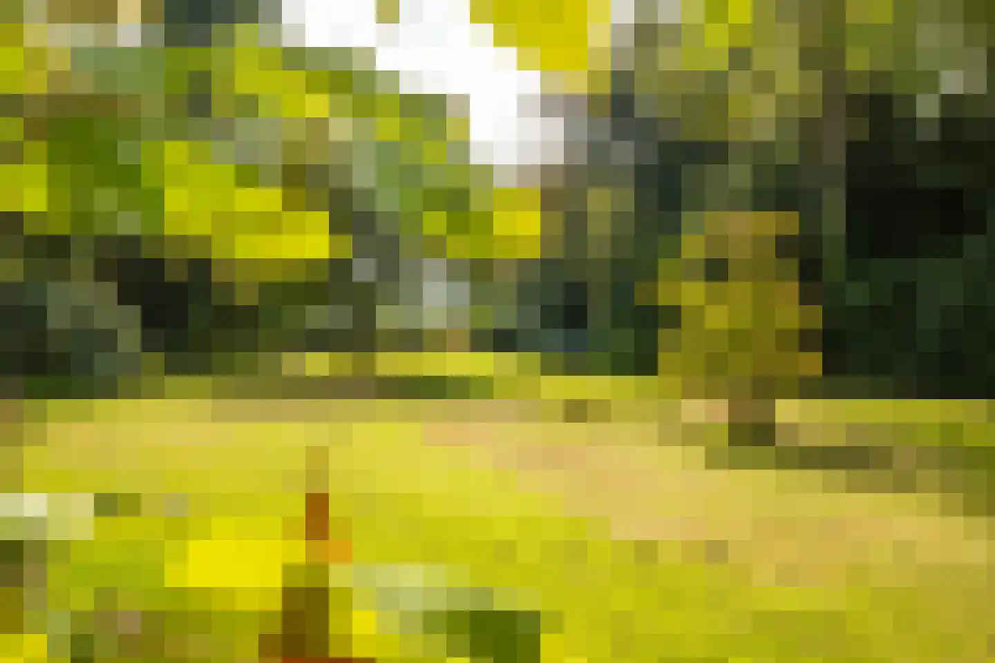 Veerweg 2 Oosterbeek thumbnail 37