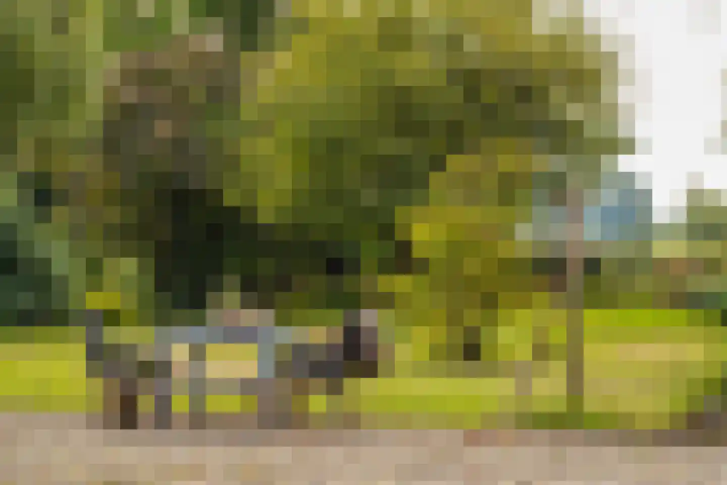 Veerweg 2 Oosterbeek thumbnail 39