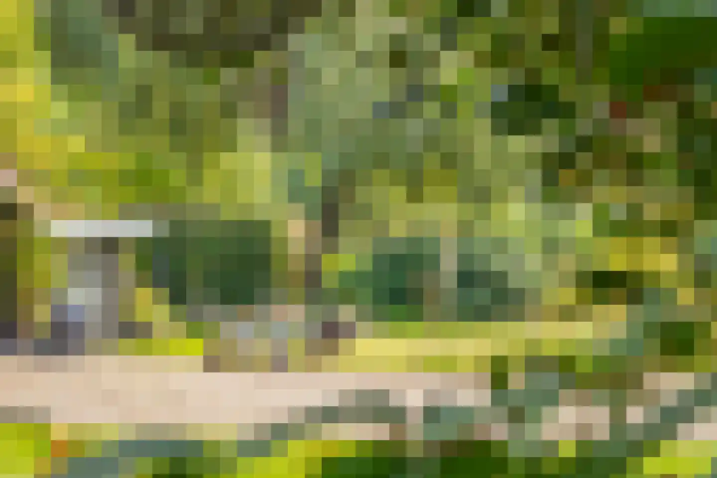 Veerweg 2 Oosterbeek thumbnail 41