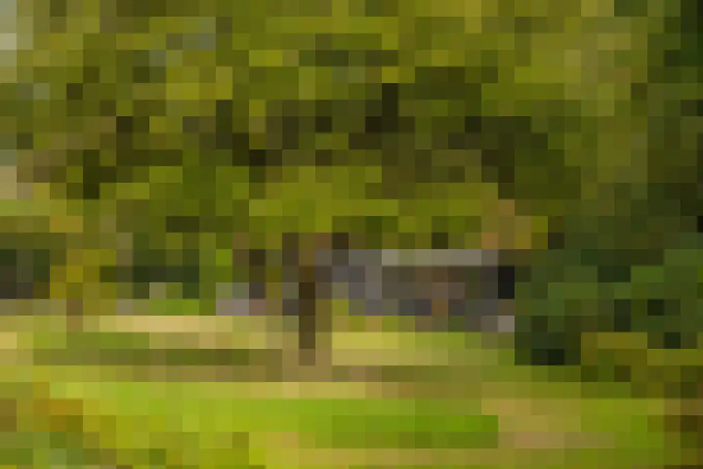 Veerweg 2 Oosterbeek thumbnail 43