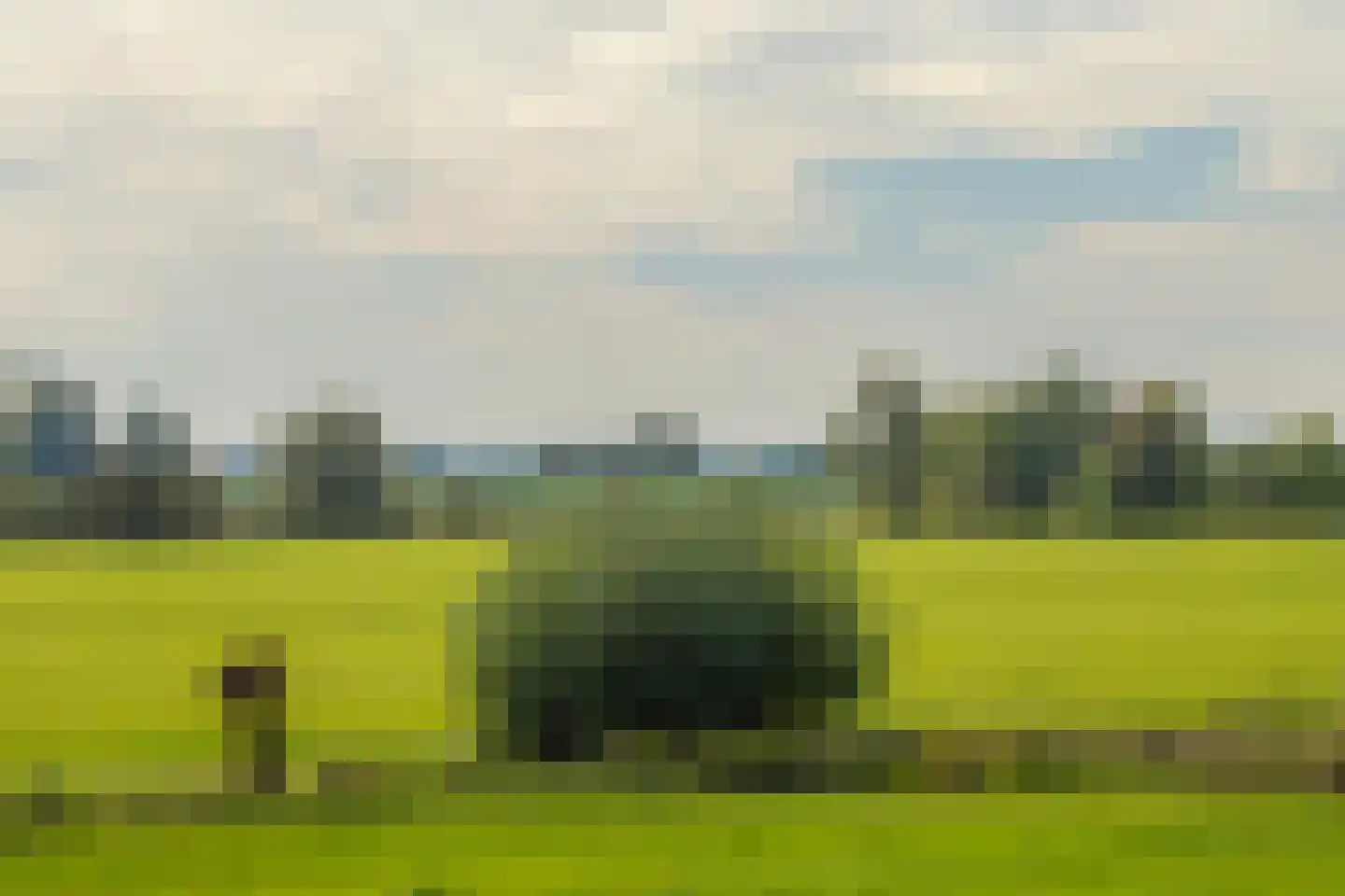 Veerweg 2 Oosterbeek thumbnail 44