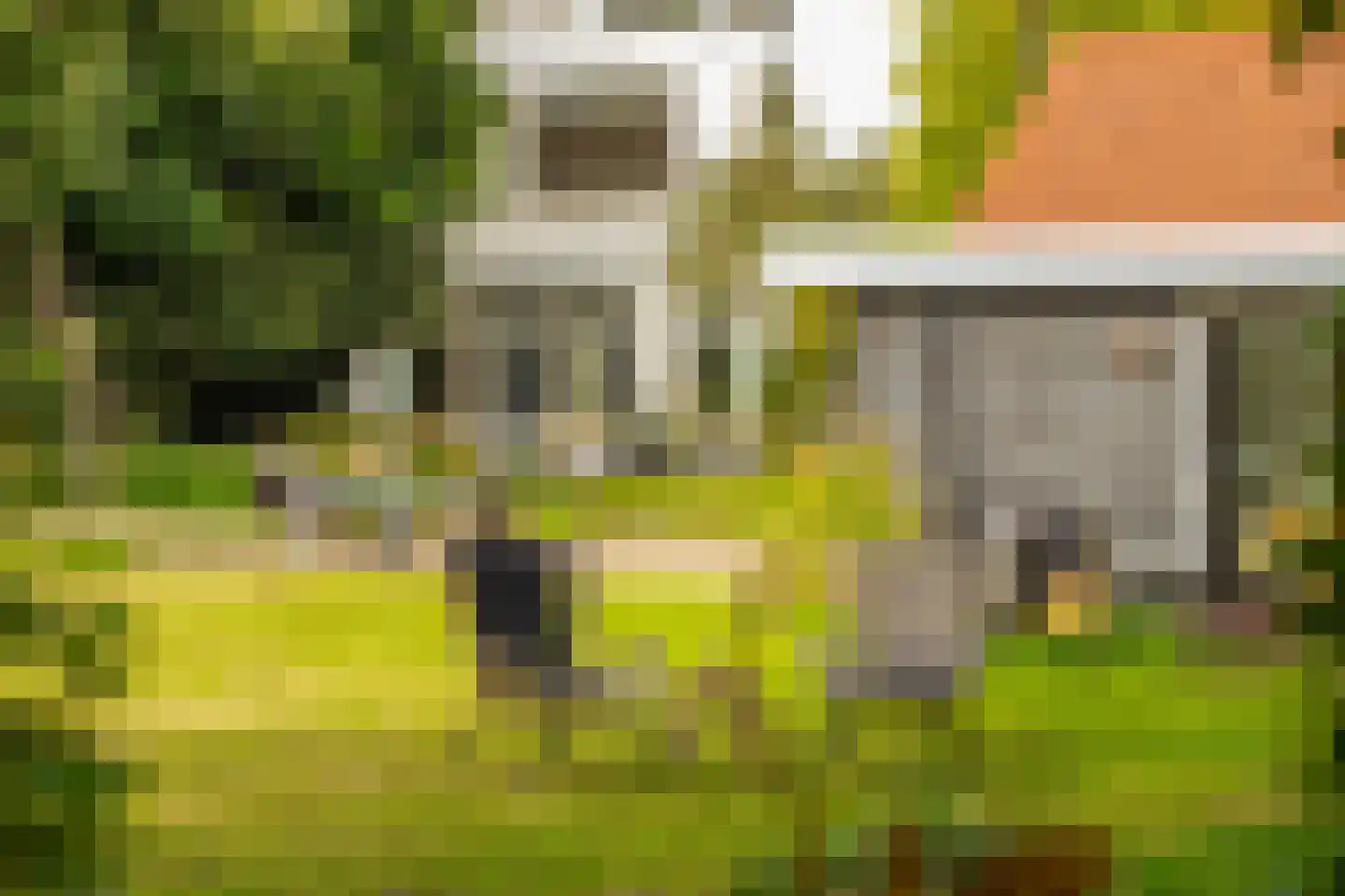 Veerweg 2 Oosterbeek thumbnail 45