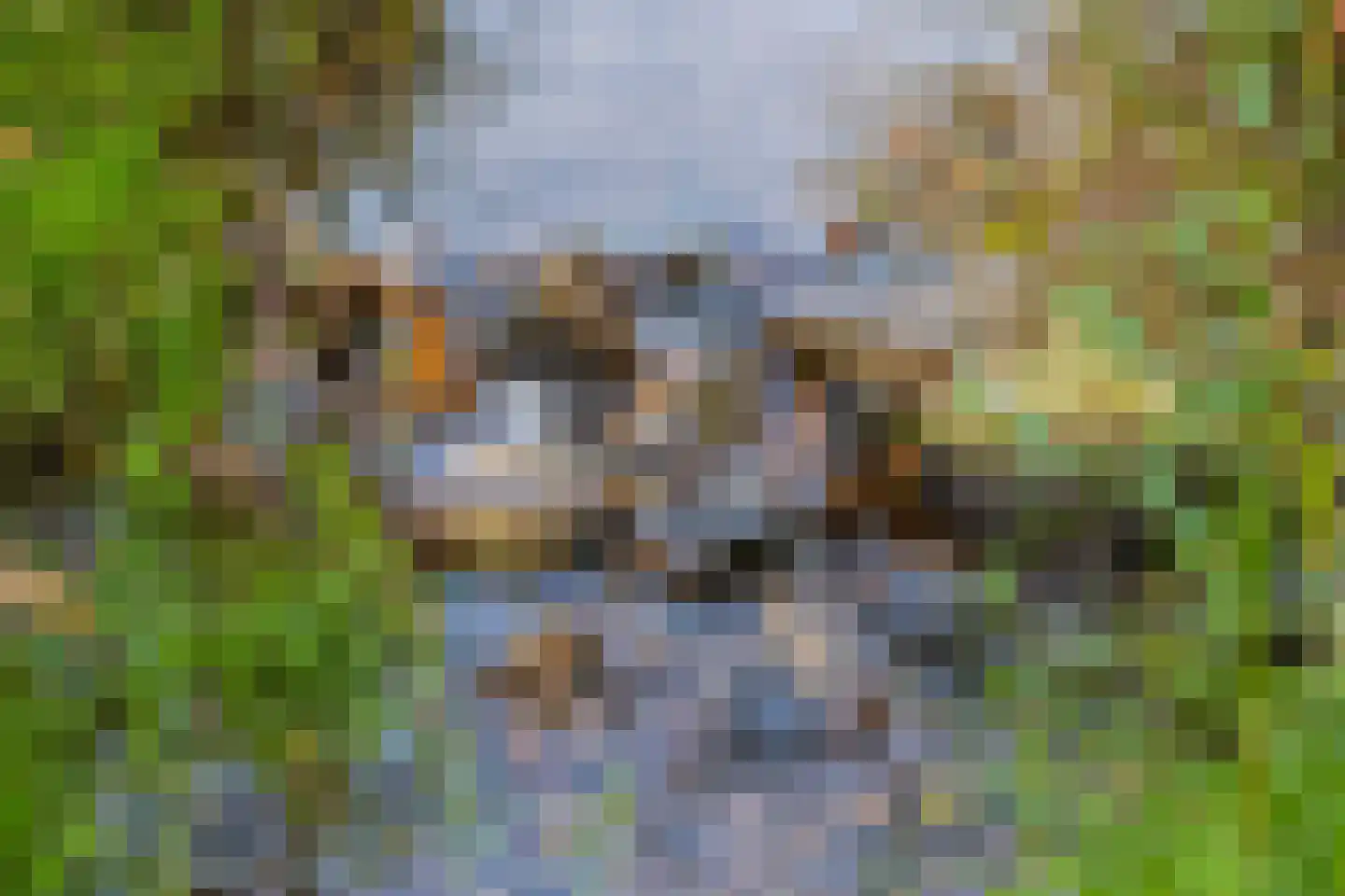 Veerweg 2 Oosterbeek thumbnail 48