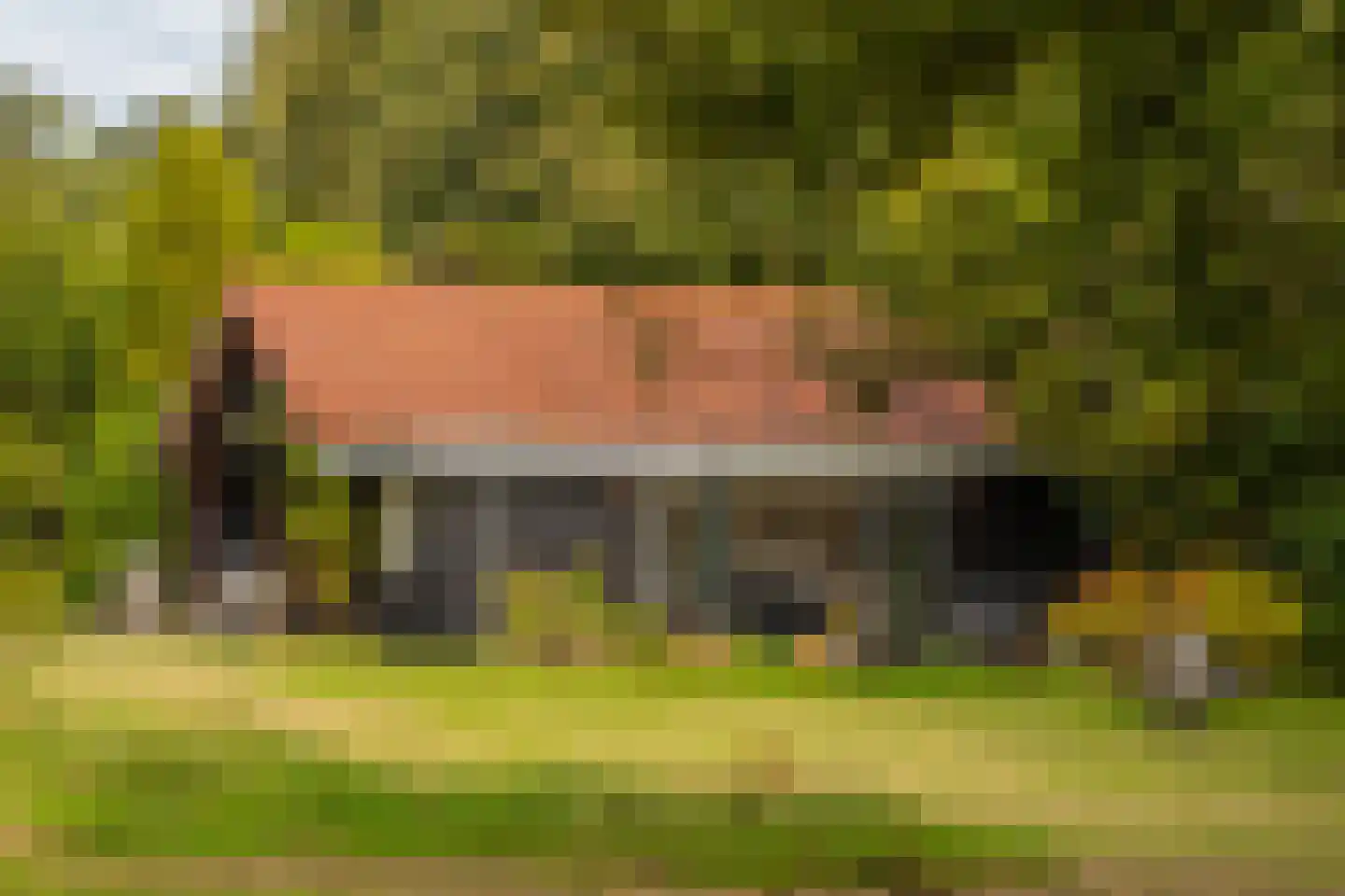 Veerweg 2 Oosterbeek thumbnail 49
