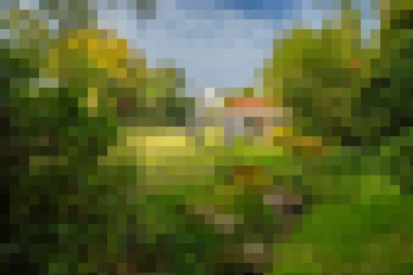 Veerweg 2 Oosterbeek thumbnail 51