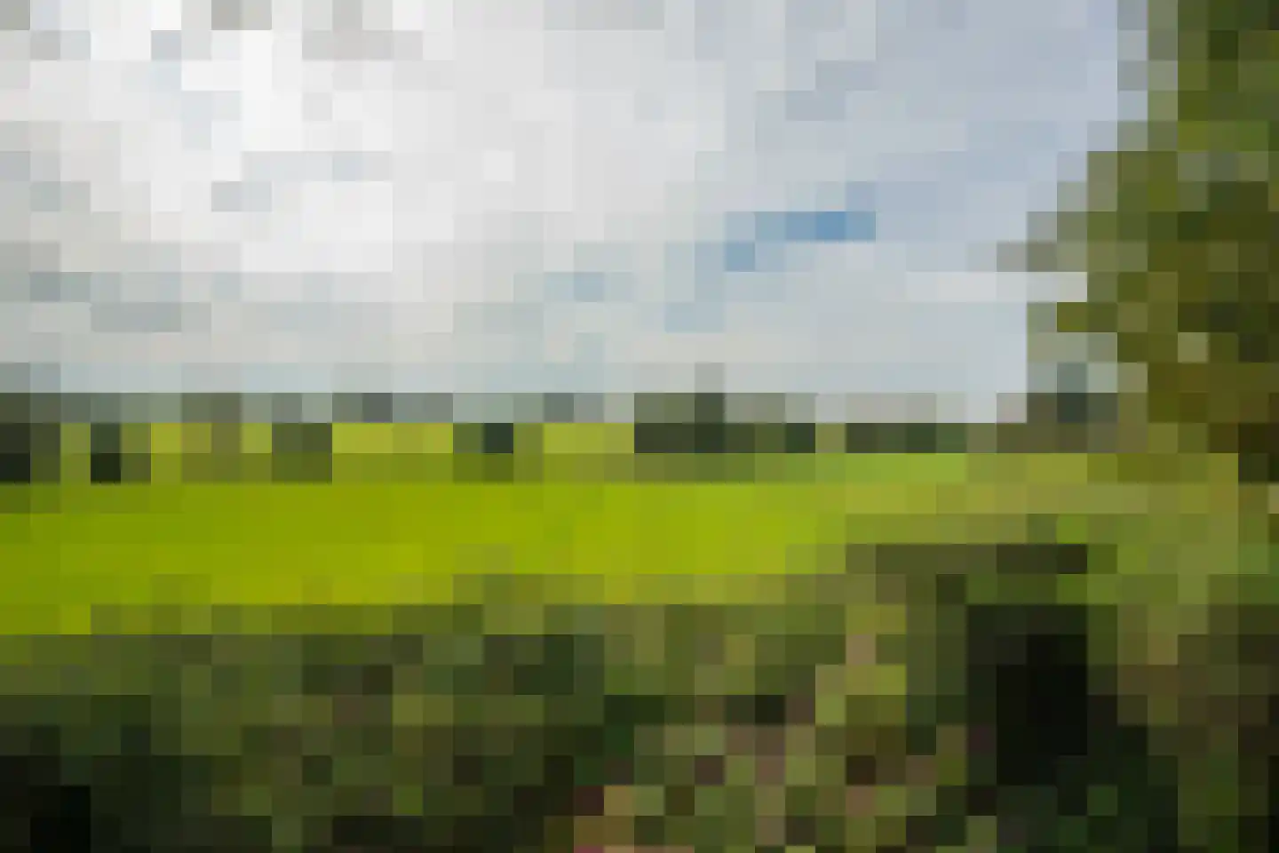 Veerweg 2 Oosterbeek thumbnail 52