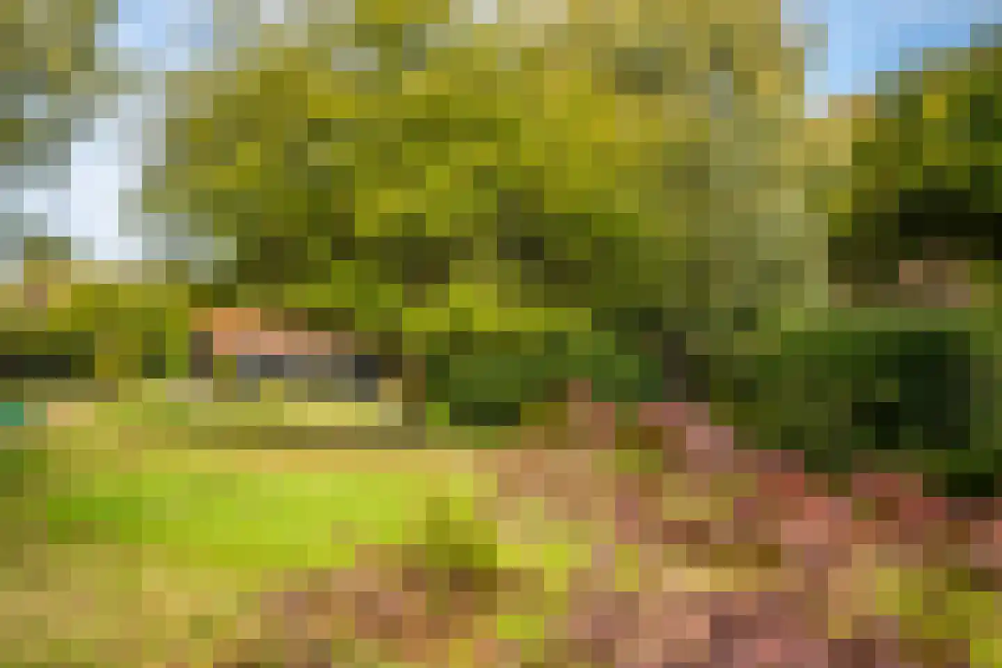 Veerweg 2 Oosterbeek thumbnail 54