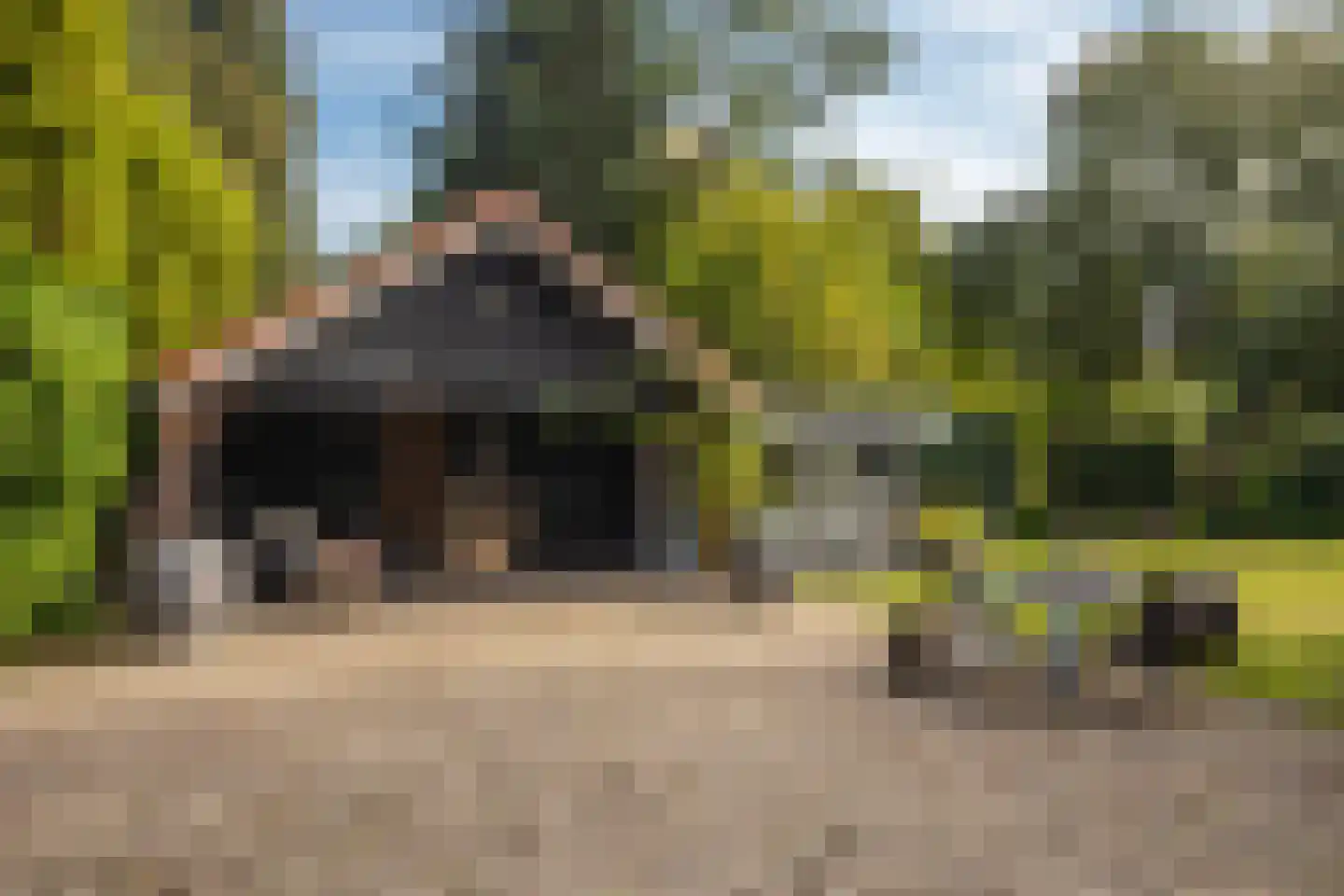 Veerweg 2 Oosterbeek thumbnail 61
