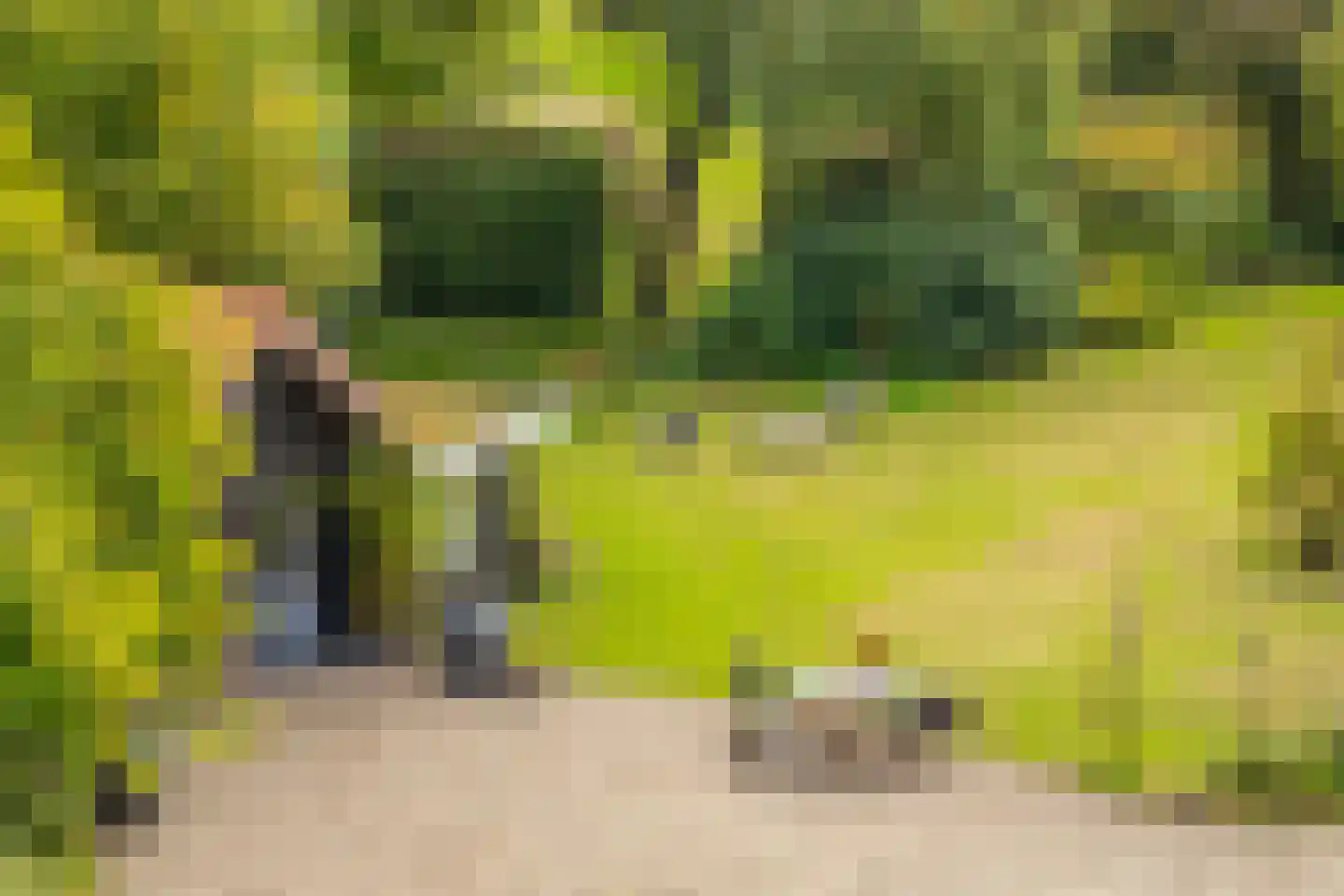 Veerweg 2 Oosterbeek thumbnail 64